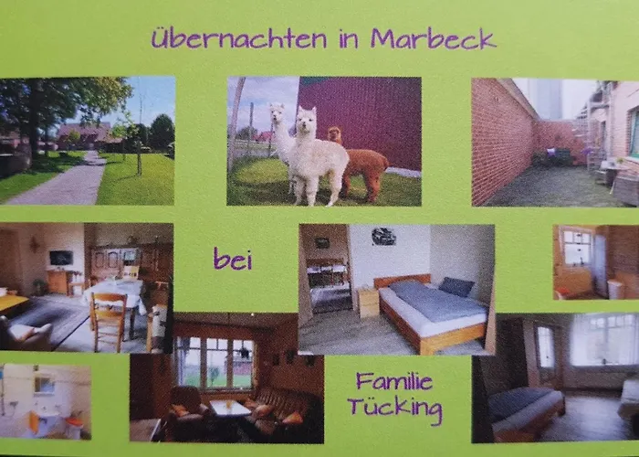 Omas Stübchen - Monteurwohnung Auf Dem Land Niederdorla